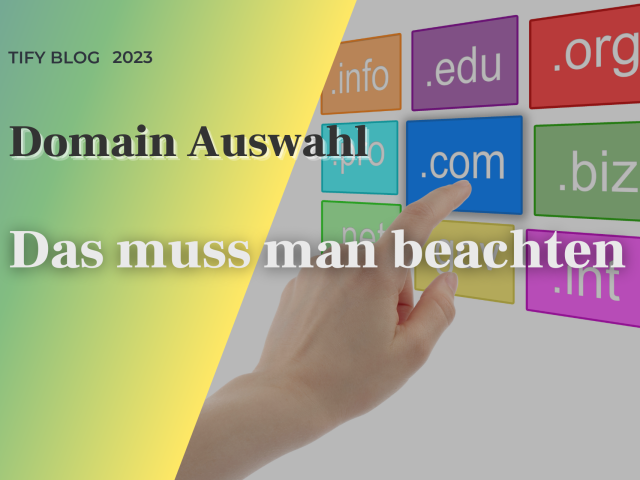 Domain Auswahl